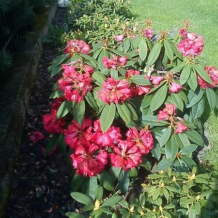 Sniezynka Vendégház 3*