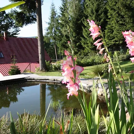 Sniezynka Schreiberhau