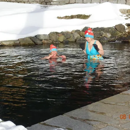 śnieżynka