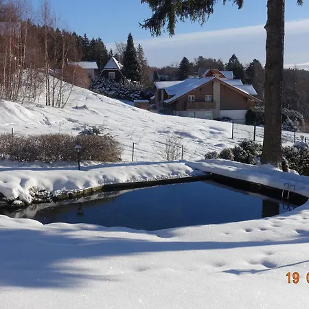 śnieżynka 3*