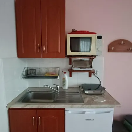 Guest house Sniezynka *