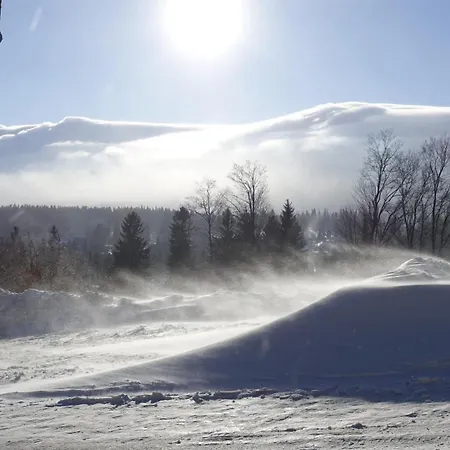 Guest house Sniezynka