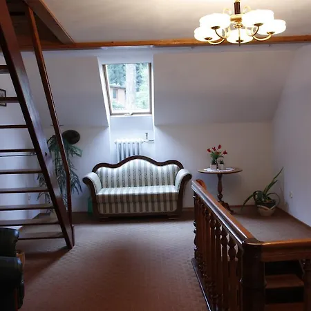 Sniezynka Guest house *