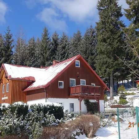 śnieżynka *