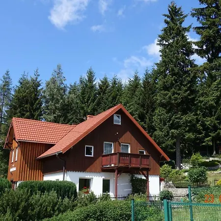 Sniezynka Guest house *
