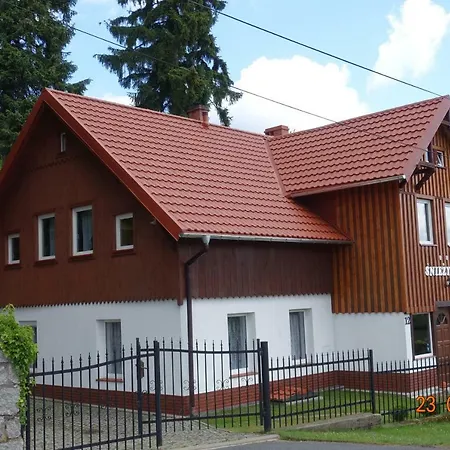 śnieżynka