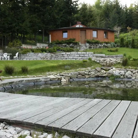 śnieżynka