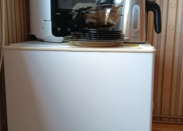 Sniezynka Penzion 3*